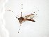  ( - TSZD-JKJ-105074)  @11 [ ] CreativeCommons - Attribution Non-Commercial Share-Alike (2019) Unspecified Tromsø University Museum