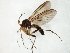  ( - TSZD-JKJ-105075)  @11 [ ] CreativeCommons - Attribution Non-Commercial Share-Alike (2019) Unspecified Tromsø University Museum