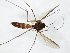  ( - TSZD-JKJ-105080)  @11 [ ] CreativeCommons - Attribution Non-Commercial Share-Alike (2019) Unspecified Tromsø University Museum