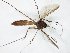  ( - TSZD-JKJ-105080)  @11 [ ] CreativeCommons - Attribution Non-Commercial Share-Alike (2019) Unspecified Tromsø University Museum