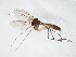  ( - TSZD-JKJ-105083)  @11 [ ] CreativeCommons - Attribution Non-Commercial Share-Alike (2019) Unspecified Tromsø University Museum