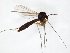  ( - TSZD-JKJ-105085)  @13 [ ] CreativeCommons - Attribution Non-Commercial Share-Alike (2019) Unspecified Tromsø University Museum