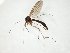  ( - TSZD-JKJ-105092)  @11 [ ] CreativeCommons - Attribution Non-Commercial Share-Alike (2019) Unspecified Tromsø University Museum