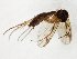  ( - TSZD-JKJ-105096)  @11 [ ] CreativeCommons - Attribution Non-Commercial Share-Alike (2019) Unspecified Tromsø University Museum