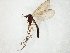  ( - TSZD-JKJ-105118)  @11 [ ] CreativeCommons - Attribution Non-Commercial Share-Alike (2019) Unspecified Tromsø University Museum