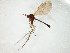  ( - TSZD-JKJ-105119)  @11 [ ] CreativeCommons - Attribution Non-Commercial Share-Alike (2019) Unspecified Tromsø University Museum