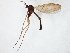  ( - TSZD-JKJ-105120)  @11 [ ] CreativeCommons - Attribution Non-Commercial Share-Alike (2019) Unspecified Tromsø University Museum