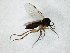  ( - TSZD-JKJ-105124)  @12 [ ] CreativeCommons - Attribution Non-Commercial Share-Alike (2019) Unspecified Tromsø University Museum