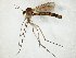  ( - TSZD-JKJ-105134)  @11 [ ] CreativeCommons - Attribution Non-Commercial Share-Alike (2019) Unspecified Tromsø University Museum