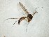  ( - TSZD-JKJ-105135)  @11 [ ] CreativeCommons - Attribution Non-Commercial Share-Alike (2019) Unspecified Tromsø University Museum