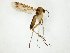  ( - TSZD-JKJ-105146)  @11 [ ] CreativeCommons - Attribution Non-Commercial Share-Alike (2019) Unspecified Tromsø University Museum