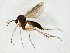  ( - TSZD-JKJ-105147)  @11 [ ] CreativeCommons - Attribution Non-Commercial Share-Alike (2019) Unspecified Tromsø University Museum