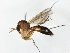  ( - TSZD-JKJ-105154)  @11 [ ] CreativeCommons - Attribution Non-Commercial Share-Alike (2019) Unspecified Tromsø University Museum