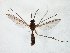  ( - TSZD-JKJ-105346)  @11 [ ] CreativeCommons - Attribution Non-Commercial Share-Alike (2019) Unspecified Tromsø University Museum