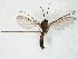  ( - TSZD-JKJ-105346)  @11 [ ] CreativeCommons - Attribution Non-Commercial Share-Alike (2019) Unspecified Tromsø University Museum
