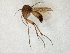 ( - TSZD-JKJ-105369)  @11 [ ] CreativeCommons - Attribution Non-Commercial Share-Alike (2019) Unspecified Tromsø University Museum