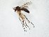  ( - TSZD-JKJ-105375)  @11 [ ] CreativeCommons - Attribution Non-Commercial Share-Alike (2019) Unspecified Tromsø University Museum
