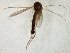  ( - TSZD-JKJ-105400)  @11 [ ] CreativeCommons - Attribution Non-Commercial Share-Alike (2019) Unspecified Tromsø University Museum