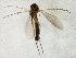  ( - TSZD-JKJ-105400)  @11 [ ] CreativeCommons - Attribution Non-Commercial Share-Alike (2019) Unspecified Tromsø University Museum