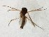  ( - TSZD-JKJ-105545)  @11 [ ] CreativeCommons - Attribution Non-Commercial Share-Alike (2019) Unspecified Tromsø University Museum