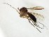 ( - TSZD-JKJ-105563)  @11 [ ] CreativeCommons - Attribution Non-Commercial Share-Alike (2019) Unspecified Tromsø University Museum
