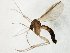  ( - TSZD-JKJ-105567)  @13 [ ] CreativeCommons - Attribution Non-Commercial Share-Alike (2019) Unspecified Tromsø University Museum