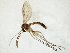  ( - TSZD-JKJ-105572)  @11 [ ] CreativeCommons - Attribution Non-Commercial Share-Alike (2019) Unspecified Tromsø University Museum