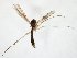  ( - TSZD-JKJ-105577)  @11 [ ] CreativeCommons - Attribution Non-Commercial Share-Alike (2019) Unspecified Tromsø University Museum