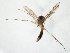  ( - TSZD-JKJ-105577)  @11 [ ] CreativeCommons - Attribution Non-Commercial Share-Alike (2019) Unspecified Tromsø University Museum