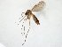  ( - TSZD-JKJ-105585)  @11 [ ] CreativeCommons - Attribution Non-Commercial Share-Alike (2019) Unspecified Tromsø University Museum
