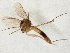  ( - TSZD-JKJ-105600)  @11 [ ] CreativeCommons - Attribution Non-Commercial Share-Alike (2019) Unspecified Tromsø University Museum