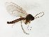  ( - TSZD-JKJ-105605)  @11 [ ] CreativeCommons - Attribution Non-Commercial Share-Alike (2019) Unspecified Tromsø University Museum
