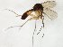  ( - TSZD-JKJ-106525)  @11 [ ] CreativeCommons - Attribution Non-Commercial Share-Alike (2019) Unspecified Tromsø University Museum
