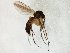  ( - TSZD-JKJ-106528)  @12 [ ] CreativeCommons - Attribution Non-Commercial Share-Alike (2019) Unspecified Tromsø University Museum