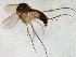  ( - TSZD-JKJ-106529)  @12 [ ] CreativeCommons - Attribution Non-Commercial Share-Alike (2019) Unspecified Tromsø University Museum