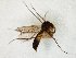 ( - TSZD-JKJ-106530)  @12 [ ] CreativeCommons - Attribution Non-Commercial Share-Alike (2019) Unspecified Tromsø University Museum