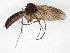  ( - TSZD-JKJ-106555)  @11 [ ] CreativeCommons - Attribution Non-Commercial Share-Alike (2019) Unspecified Tromsø University Museum