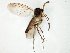  ( - TSZD-JKJ-106575)  @11 [ ] CreativeCommons - Attribution Non-Commercial Share-Alike (2019) Unspecified Tromsø University Museum