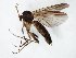  ( - TSZD-JKJ-106577)  @11 [ ] CreativeCommons - Attribution Non-Commercial Share-Alike (2019) Unspecified Tromsø University Museum