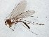  ( - TSZD-JKJ-106578)  @11 [ ] CreativeCommons - Attribution Non-Commercial Share-Alike (2019) Unspecified Tromsø University Museum
