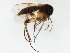  ( - TSZD-JKJ-106585)  @11 [ ] CreativeCommons - Attribution Non-Commercial Share-Alike (2019) Unspecified Tromsø University Museum