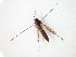  ( - TSZD-JKJ-106589)  @11 [ ] CreativeCommons - Attribution Non-Commercial Share-Alike (2019) Unspecified Tromsø University Museum