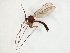  ( - TSZD-JKJ-106615)  @11 [ ] CreativeCommons - Attribution Non-Commercial Share-Alike (2019) Unspecified Tromsø University Museum
