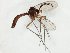  ( - TSZD-JKJ-106616)  @11 [ ] CreativeCommons - Attribution Non-Commercial Share-Alike (2019) Unspecified Tromsø University Museum