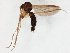  ( - TSZD-JKJ-106618)  @11 [ ] CreativeCommons - Attribution Non-Commercial Share-Alike (2019) Unspecified Tromsø University Museum