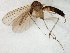  ( - TSZD-JKJ-106623)  @13 [ ] CreativeCommons - Attribution Non-Commercial Share-Alike (2019) Unspecified Tromsø University Museum