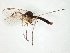  ( - TSZD-JKJ-106631)  @11 [ ] CreativeCommons - Attribution Non-Commercial Share-Alike (2019) Unspecified Tromsø University Museum