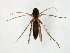  ( - TSZD-JKJ-106632)  @11 [ ] CreativeCommons - Attribution Non-Commercial Share-Alike (2019) Unspecified Tromsø University Museum