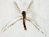  ( - TSZD-JKJ-106642)  @11 [ ] CreativeCommons - Attribution Non-Commercial Share-Alike (2019) Unspecified Tromsø University Museum