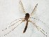  ( - TSZD-JKJ-106642)  @11 [ ] CreativeCommons - Attribution Non-Commercial Share-Alike (2019) Unspecified Tromsø University Museum